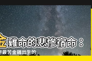 【金雞命】金雞命的悲慘宿命：揭秘最苦金雞出生的月份