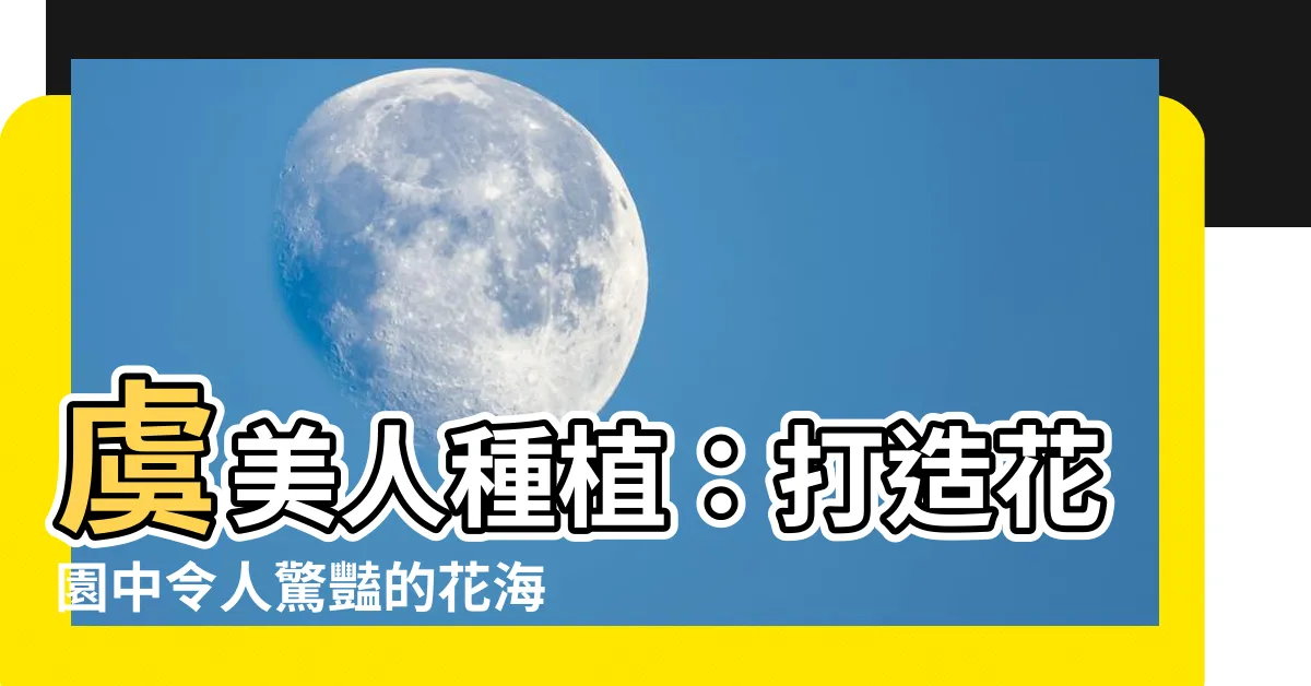 【虞美人種植】虞美人種植：打造花園中令人驚豔的花海