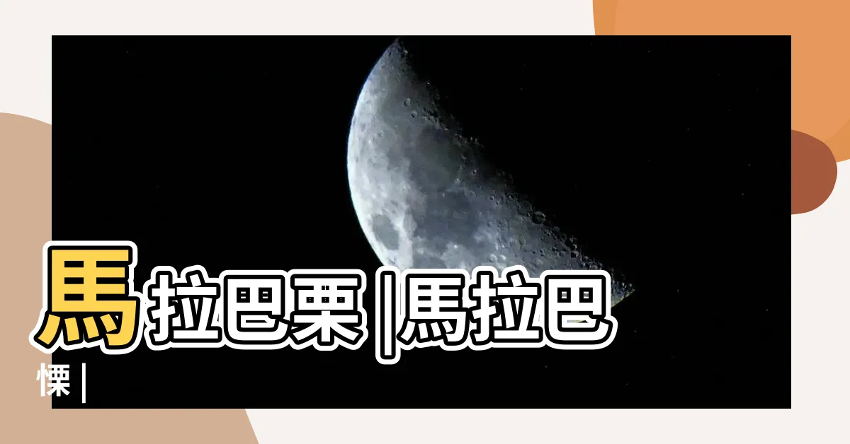 【發財樹 英文】馬拉巴栗 |馬拉巴慄 |