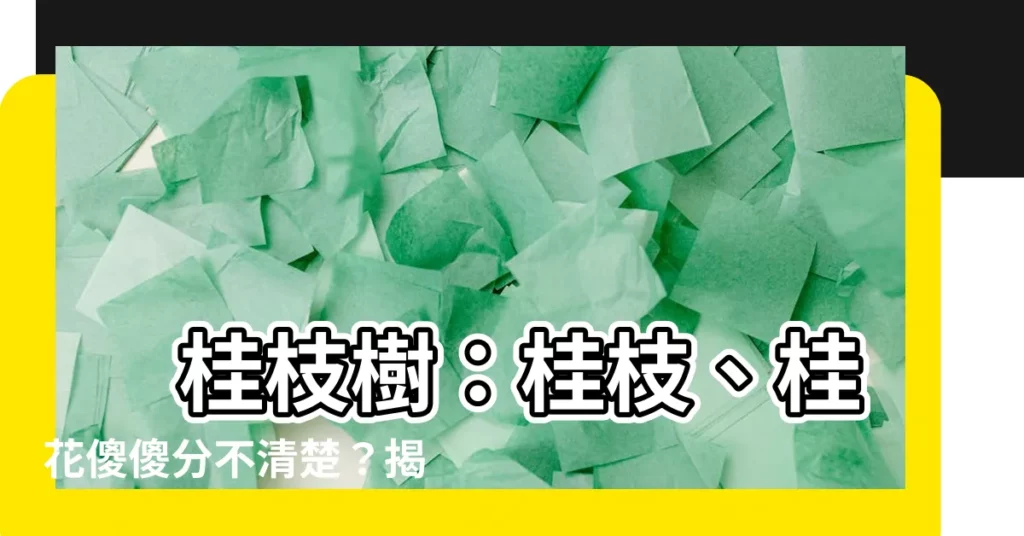【桂枝樹】 桂枝樹：桂枝、桂花傻傻分不清楚？揭開它們的秘密身世