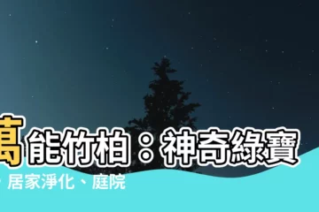 【竹柏】萬能竹柏：神奇綠寶石，居家淨化、庭院造景的神奇植物！