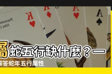 【屬蛇五行缺什麼】屬蛇五行缺什麼？一次解答蛇年五行屬性、注意事項