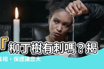 【柳丁樹有刺嗎】「柳丁樹有刺嗎？揭開真相，保證讓您大吃一驚！」
