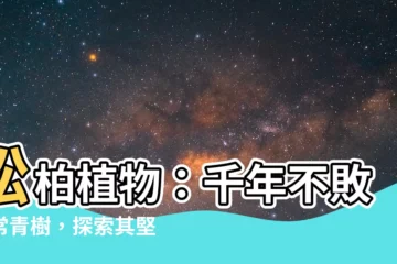【松柏植物】松柏植物：千年不敗的常青樹，探索其堅韌的生命力