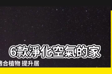 【家裡適合的植物】 6款淨化空氣的家裡適合植物 提升居家質感必收！