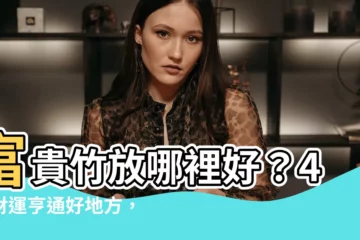 【富貴竹放哪裏好】富貴竹放哪裡好?4個財運亨通好地方,4個禁忌讓好運溜走