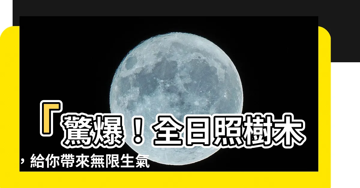 【全日照樹木】「驚爆！全日照樹木，給你帶來無限生氣，成為你家的光明力量！」