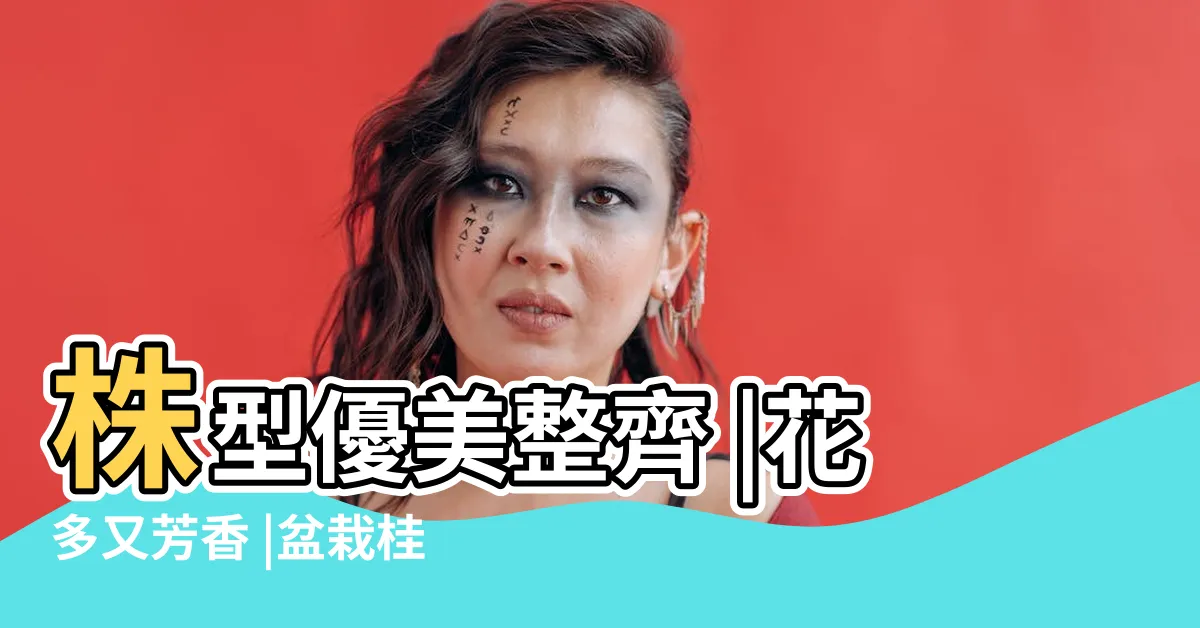 【桂花 盆栽】株型優美整齊 |花多又芳香 |盆栽桂花的養殖方法和注意事項 |