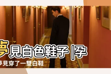 【孕婦夢見一雙白鞋子】夢見白色鞋子 |孕婦夢見穿了一雙白鞋 |夢見一雙白色鞋子 |