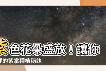 【紫掌種植】紫色花朵盛放！讓你驚呼的紫掌種植秘訣
