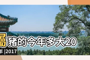 【2017年34歲屬豬對嘛】屬豬的今年多大2017年 |2017年屬豬的多少歲嗎 |2017年屬豬的人今年幾歲 |