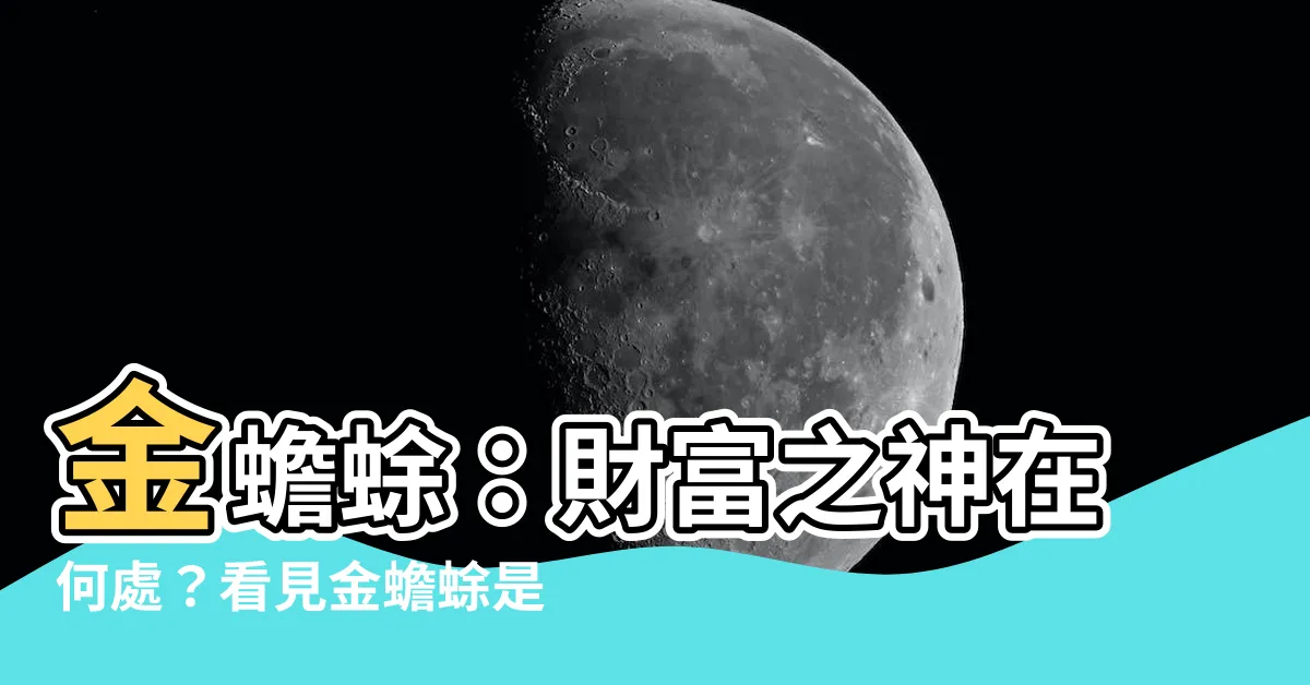 【看到金蟾蜍】金蟾蜍：財富之神在何處？看見金蟾蜍是財富即將到來的先兆嗎？