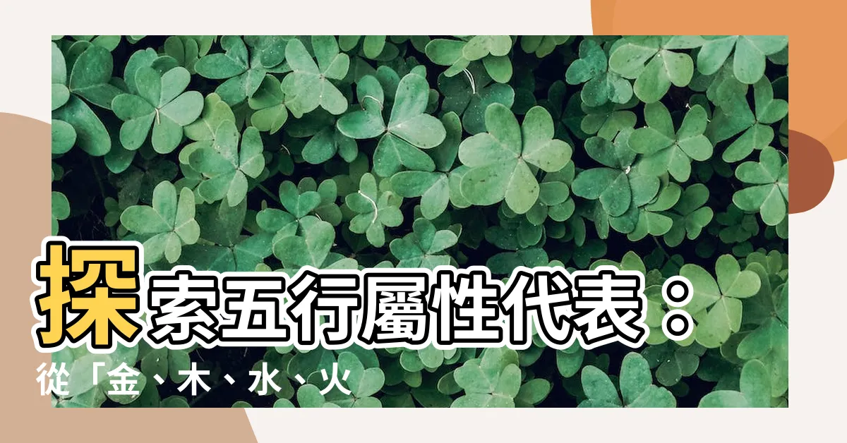 【五行屬性代表】探索五行屬性代表：從「金、木、水、火、土」認識五行理論與運用