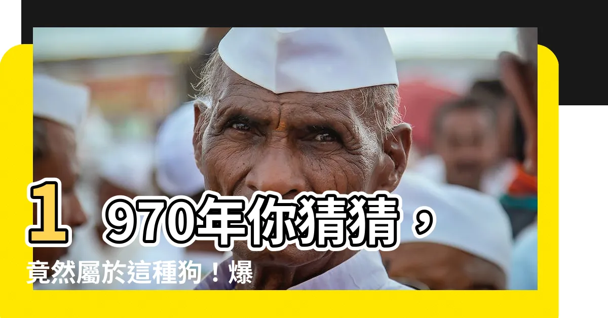 【1970年是什麼狗】1970年你猜猜，竟然屬於這種狗！爆笑一秒必看！