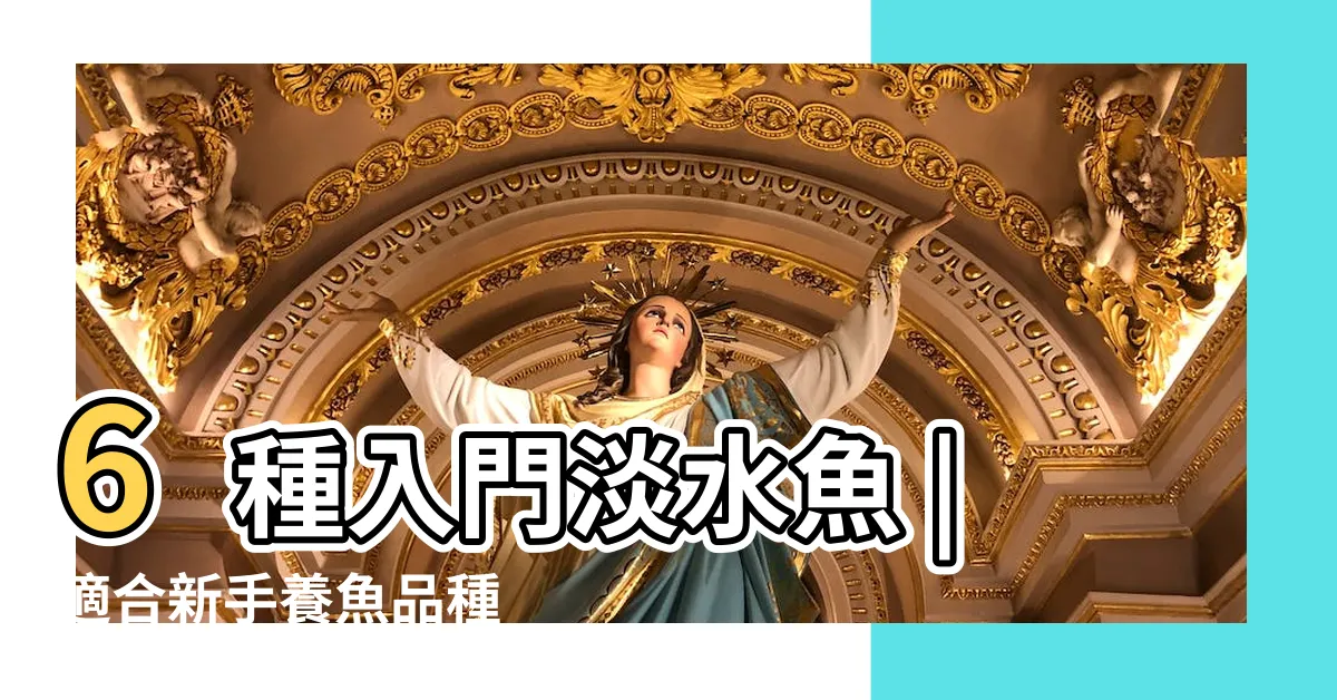 【養魚推薦】6種入門淡水魚 |適合新手養魚品種 |10種激推 |