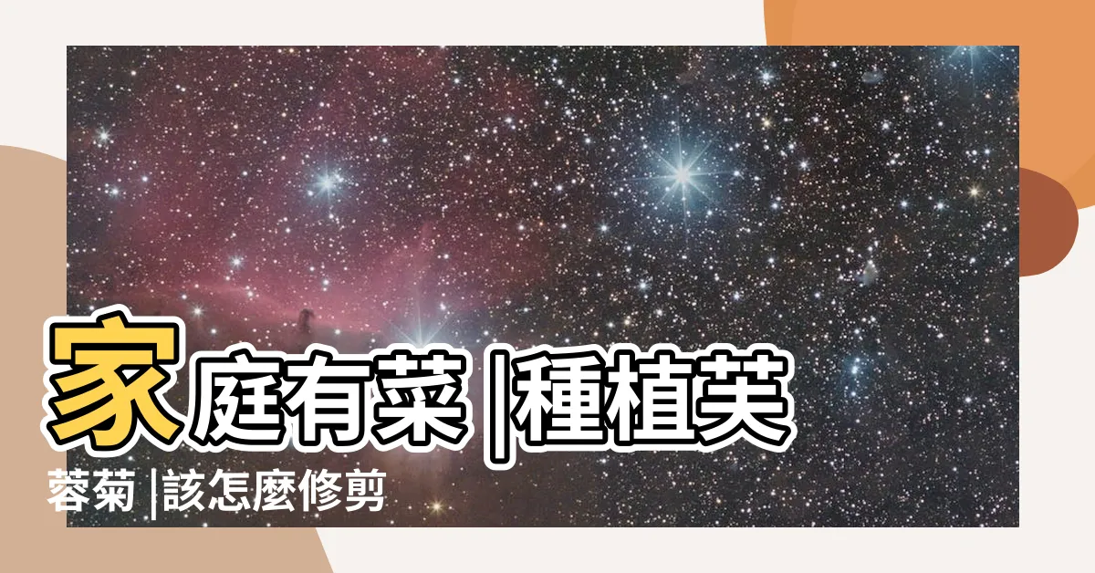 【芙蓉種植方法】家庭有菜 |種植芙蓉菊 |該怎麼修剪 |