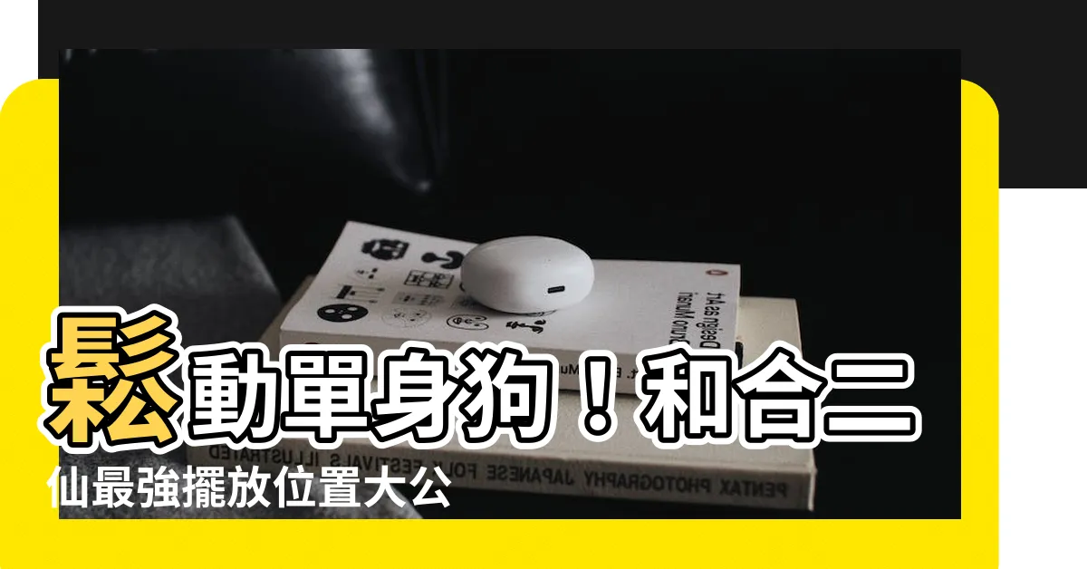 【和合二仙擺放位置】鬆動單身狗！和合二仙最強擺放位置大公開