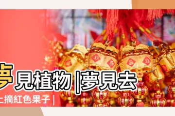 【夢見紅色圓形果子】夢見植物 |夢見去樹上摘紅色果子 |夢境號碼解析結果 |