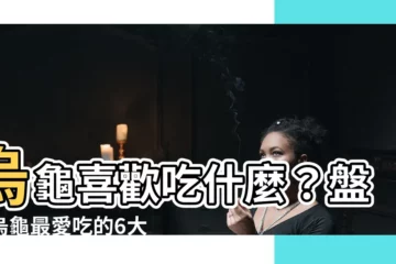【烏龜喜歡吃什麼】烏龜喜歡吃什麼？盤點烏龜最愛吃的6大蔬果