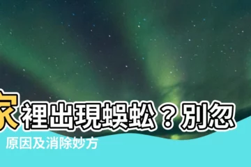 【家裡 蜈蚣】家裡出現蜈蚣？別忽視！原因及消除妙方一次看