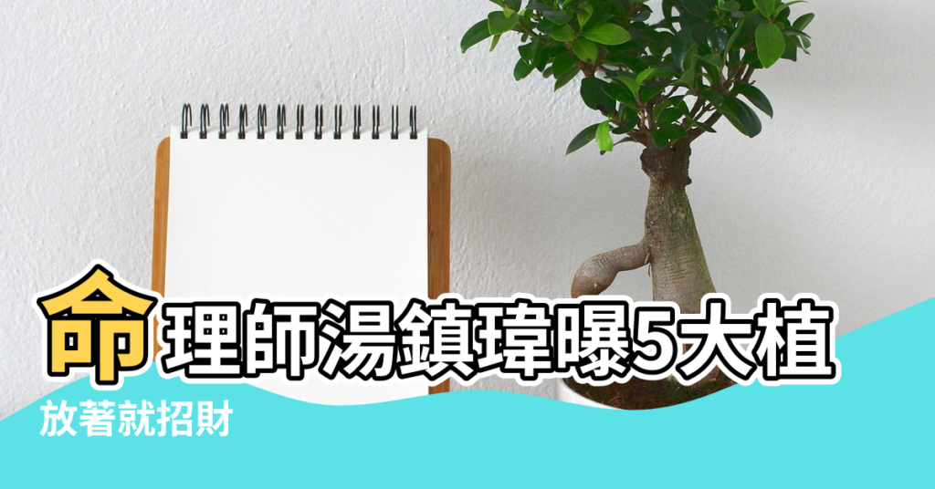 【植物放置風水】命理師湯鎮瑋曝5大植栽風水禁忌 |放著就招財 |風水師分享7款室內植物風水擺設 |