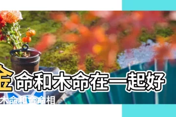 【金命和木命可能在一起嗎】金命和木命在一起好嗎 |木命和金命相剋嗎能不能合婚 |命理解説 |