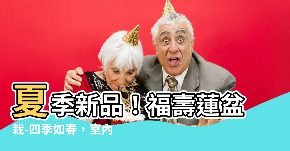 【福壽蓮】夏季新品！福壽蓮盆栽-四季如春，室內外陽台皆宜
