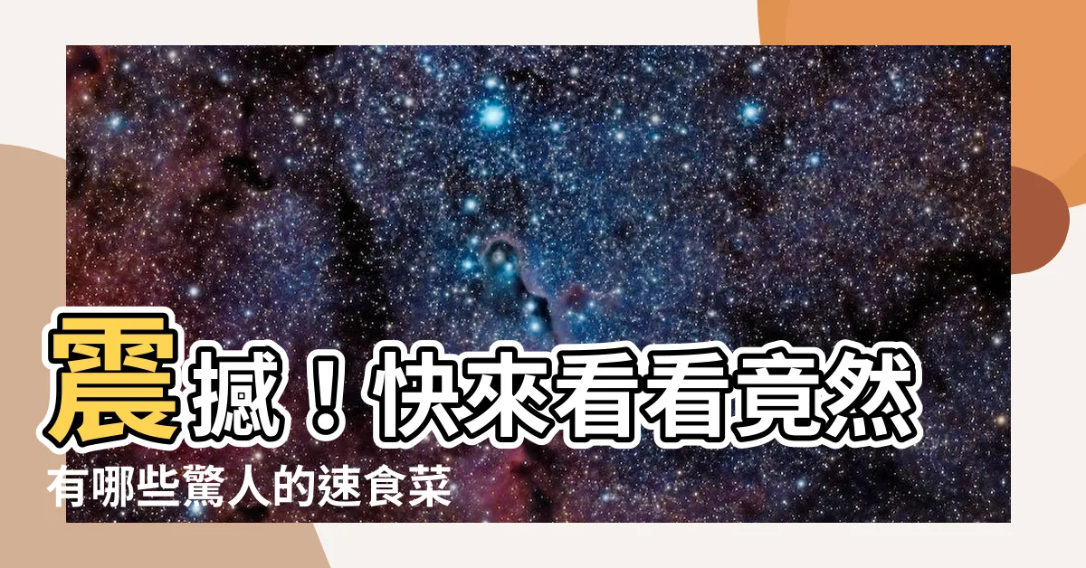 【速食有哪些】震撼！快來看看竟然有哪些驚人的速食菜單！爆料集錦狂吸引目光