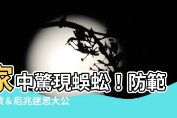 【家中出現蜈蚣】家中驚現蜈蚣！防範對策＆厄兆迷思大公開