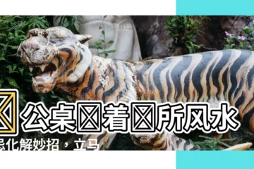 【辦公桌對廁所化解】辦公桌對着廁所風水禁忌化解妙招，立馬讓你辦公室招財旺運！