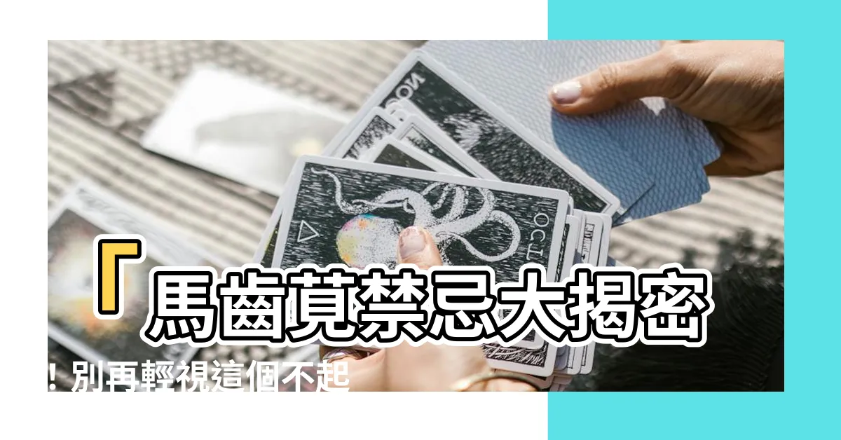 【馬齒莧禁忌】「馬齒莧禁忌大揭密！別再輕視這個不起眼的長壽菜！」
