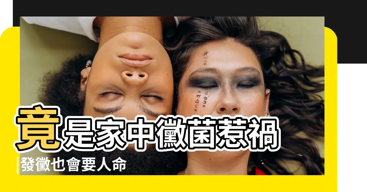 【黴菌對身體的影響】竟是家中黴菌惹禍 |發黴也會要人命 |除黴4寶遠離 |