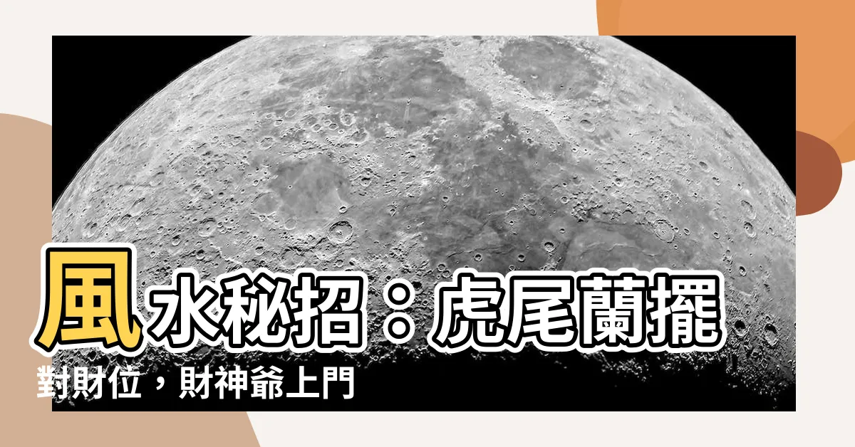 【財位 虎尾蘭】風水秘招：虎尾蘭擺對財位，財神爺上門送錢來！
