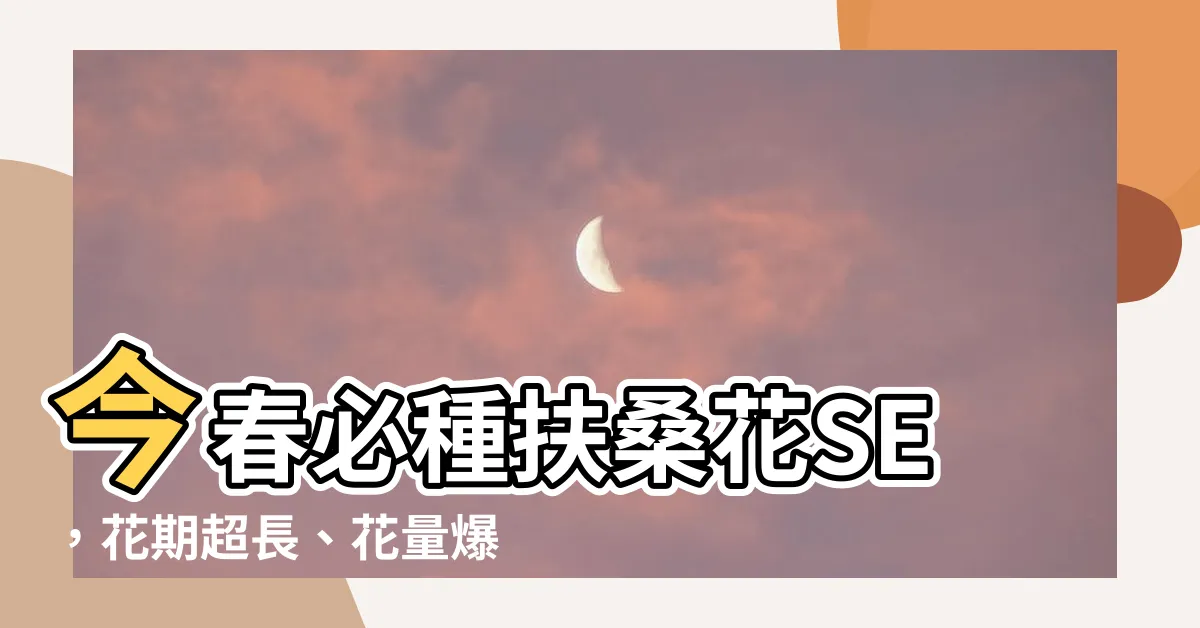 【扶桑花se】今春必種扶桑花SE，花期超長、花量爆棚，天天都能賞花爆盆！
