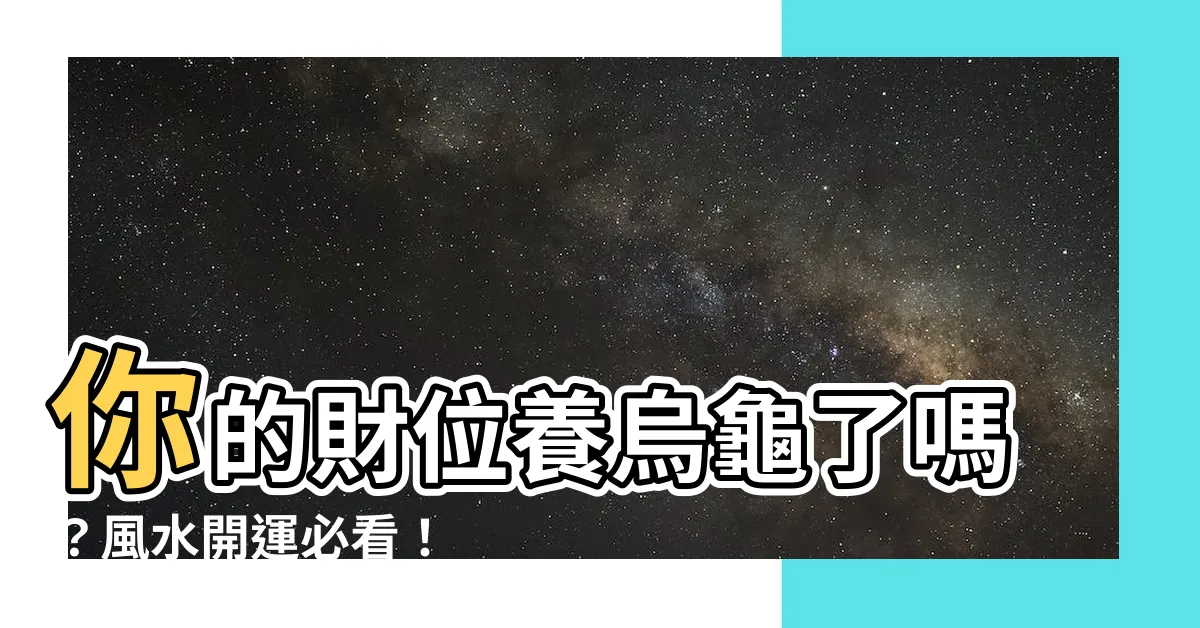 【財位養烏龜】你的財位養烏龜了嗎？風水開運必看！