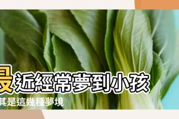 【為什麼老是夢到孩子】最近經常夢到小孩 |尤其是這幾種夢境 |周公解夢 |
