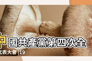 【1925年1月】中國共產黨第四次全國代表大會 |1925年 |中國共產黨大事記 |
