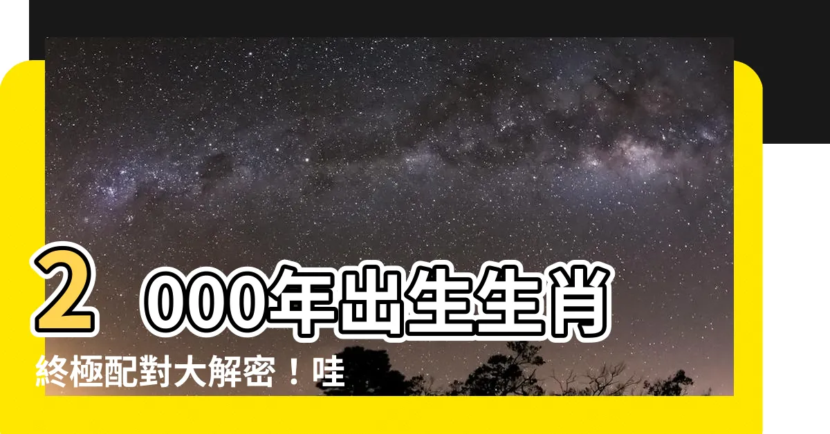 【2000年出生生肖】2000年出生生肖終極配對大解密！哇！你猜猜看究竟是誰？