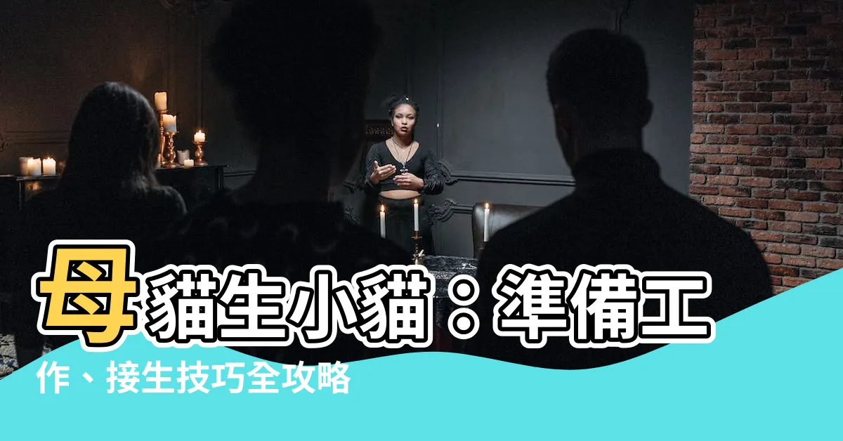 【母貓生小貓】母貓生小貓：準備工作、接生技巧全攻略！