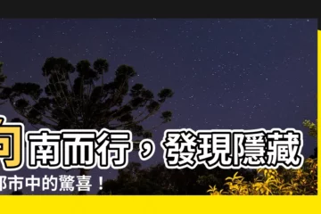 【向南】向南而行，發現隱藏在都市中的驚喜！