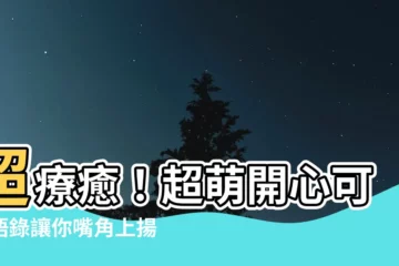 【開心可愛語錄】超療癒！超萌開心可愛語錄讓你嘴角上揚