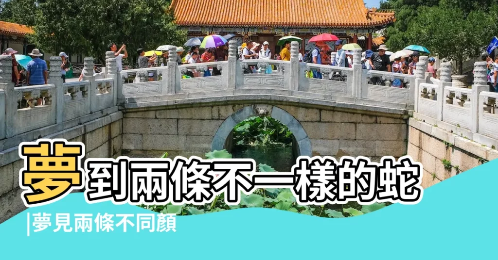 夢到兩條不一樣的蛇 |夢見兩條不同顏色的蛇 |夢見幾條不同顏色的蛇 |【夢見兩條不同顏色的小蛇】
