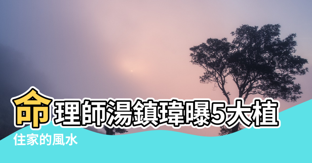 【房屋風水中心 盆栽】命理師湯鎮瑋曝5大植栽風水禁忌 |住家的風水 |客廳放什麼植物風水好 |