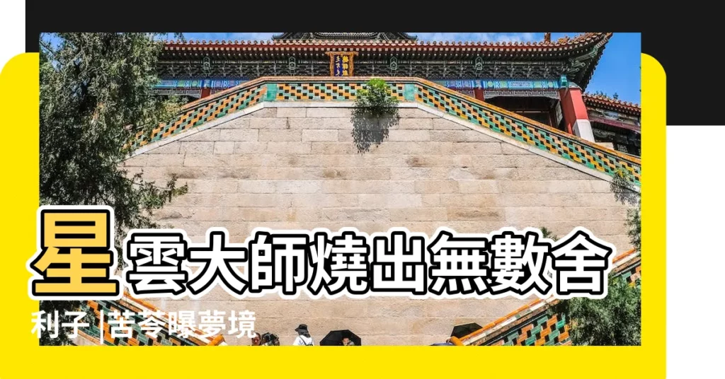 星雲大師燒出無數舍利子 |苦苓曝夢境對話網嗆 |做夢夢見舍利子好不好 |【夢到地上有舍利子】
