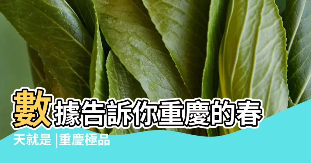 數據告訴你重慶的春天就是 |重慶極品外圍少婦 |重慶首個海綿城市雨水花園示範基地建成開放 |【2017重慶雨水】