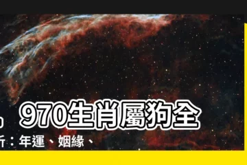【1970生肖】1970生肖屬狗全解析：年運、姻緣、財運一次掌握