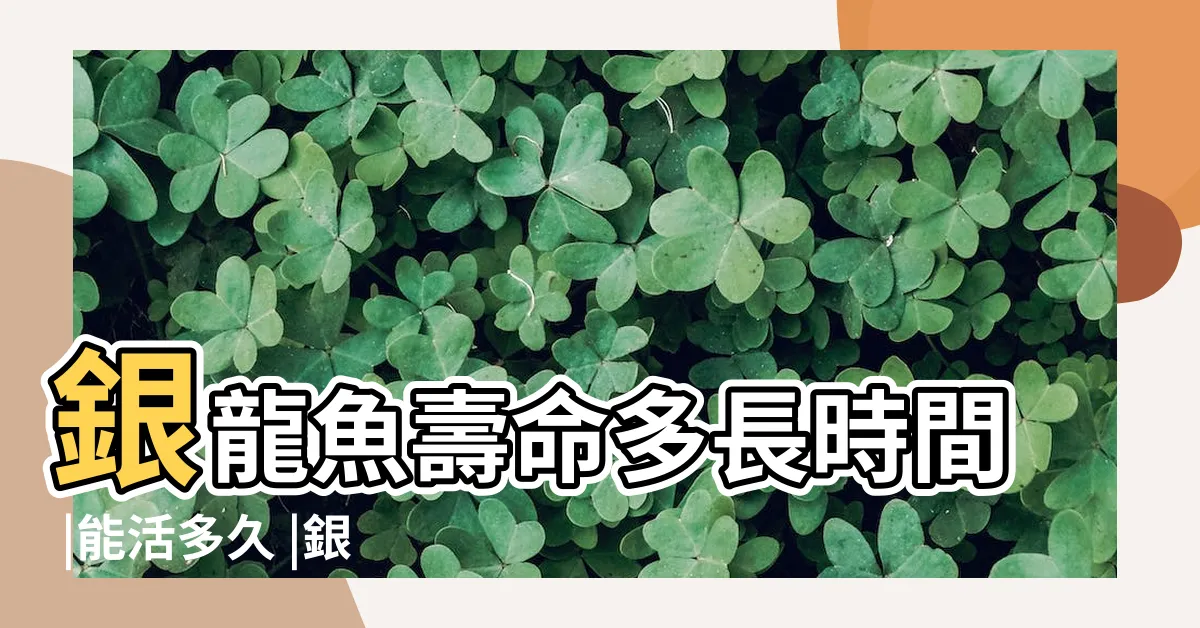 【銀帶壽命】銀龍魚壽命多長時間 |能活多久 |銀龍魚壽命銀龍魚壽命一般在6 |