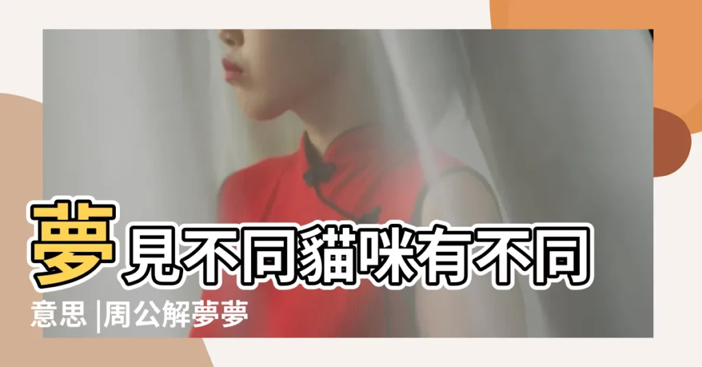 夢見不同貓咪有不同意思 |周公解夢夢見養黑貓 |夢見兩隻黑貓 |【夢到家裏養了兩隻黑貓】