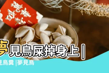 【夢到鳥屎掉在地上】夢見鳥屎掉身上 |夢見鳥糞 |夢見鳥屎 |