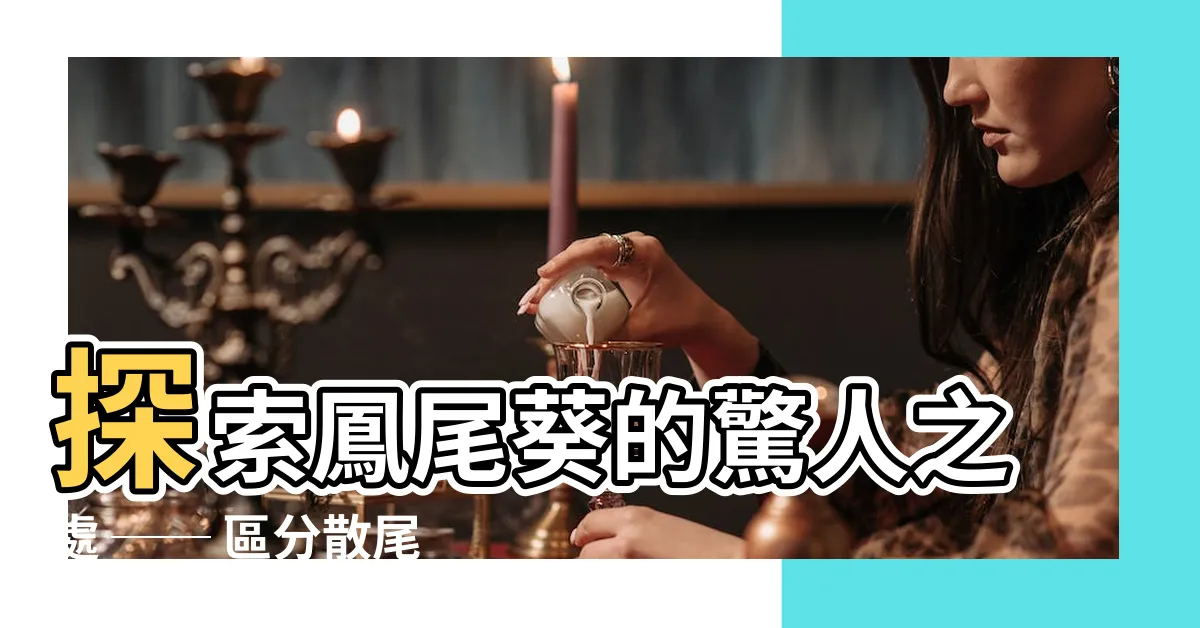 【鳳尾葵】探索鳳尾葵的驚人之處 ── 區分散尾葵，瞭解養護秘訣